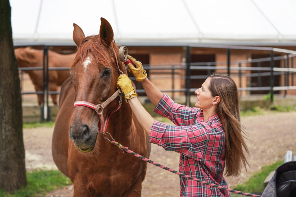 Horse Care Products | Esh Hardware Ronks, PA