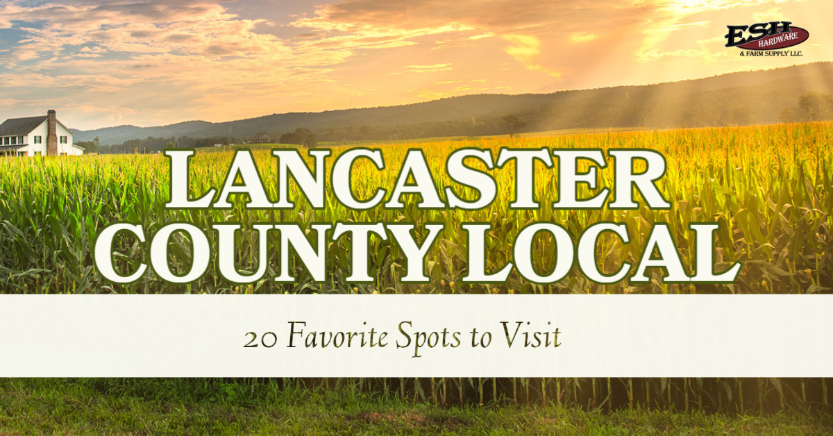 You are currently viewing Off the Beaten Path: 20 Local Favorites in Lancaster County