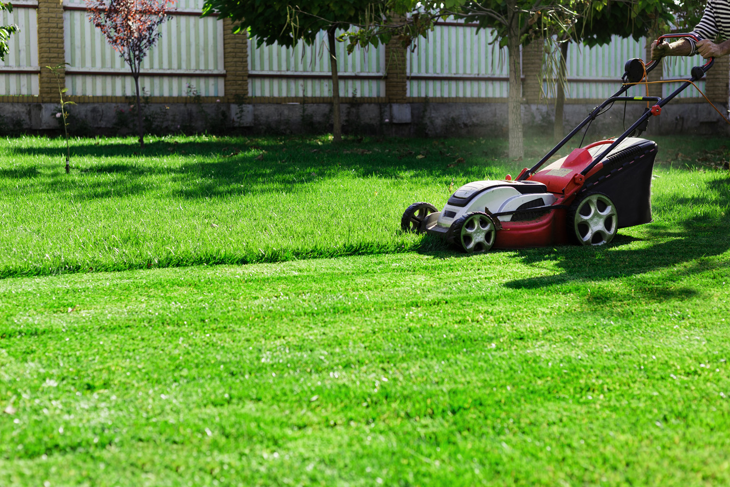 Read more about the article Lawn Mower Tune-Ups